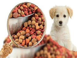 Điểm danh 6 lợi ích của thức ăn hạt khô dành cho thú cưng
