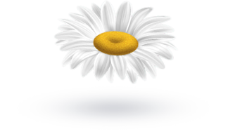 hero flower shape