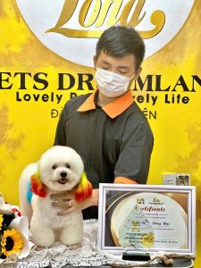 dao tao groomer
